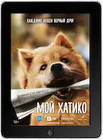 Мой Хатико Мой Хатико